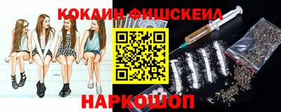 дживик Можга