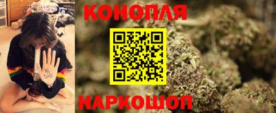 дживик Можга