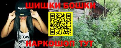 дживик Можга